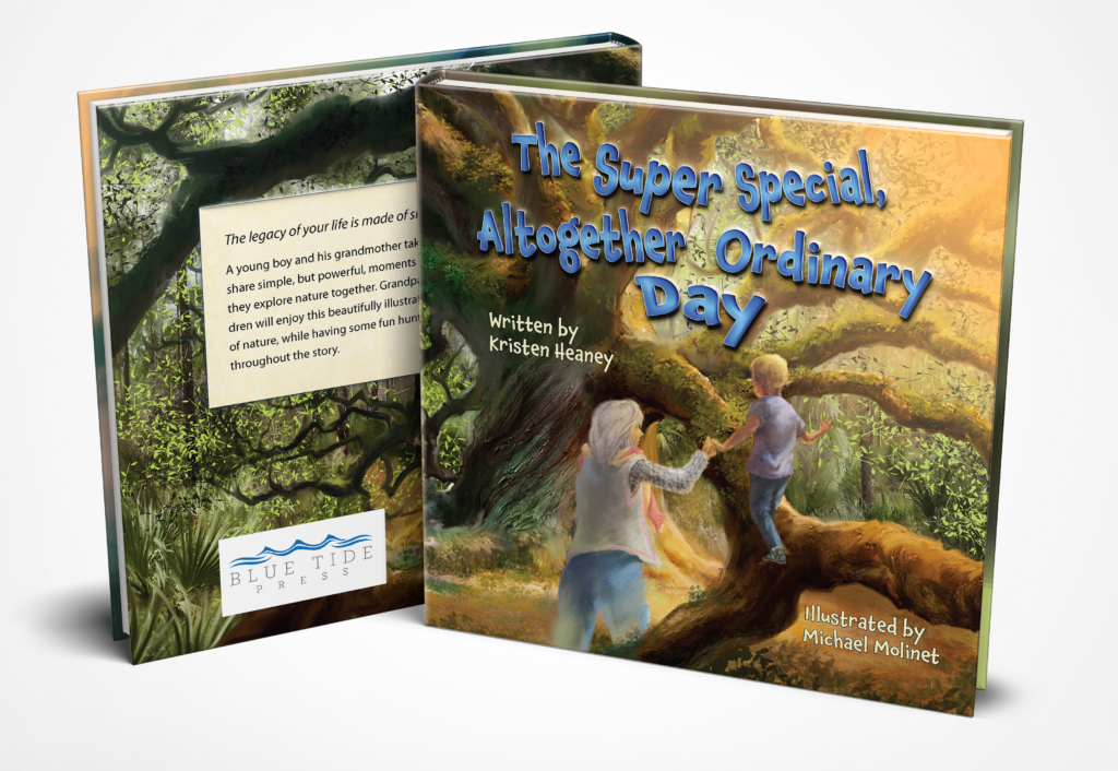 The Super Special, Altogether Ordinary Day book